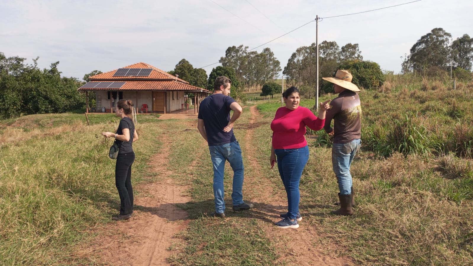 Aporte tecnológico, digital e sustentável no processo de produção, colheita, pós-colheita, administração e logística da COAPAV