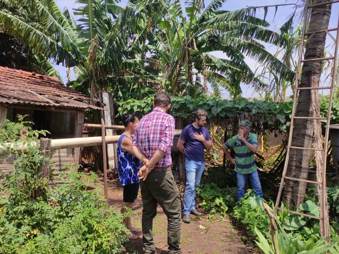 Aporte tecnológico, digital e sustentável no processo de produção, colheita, pós-colheita, administração e logística da COAPAV